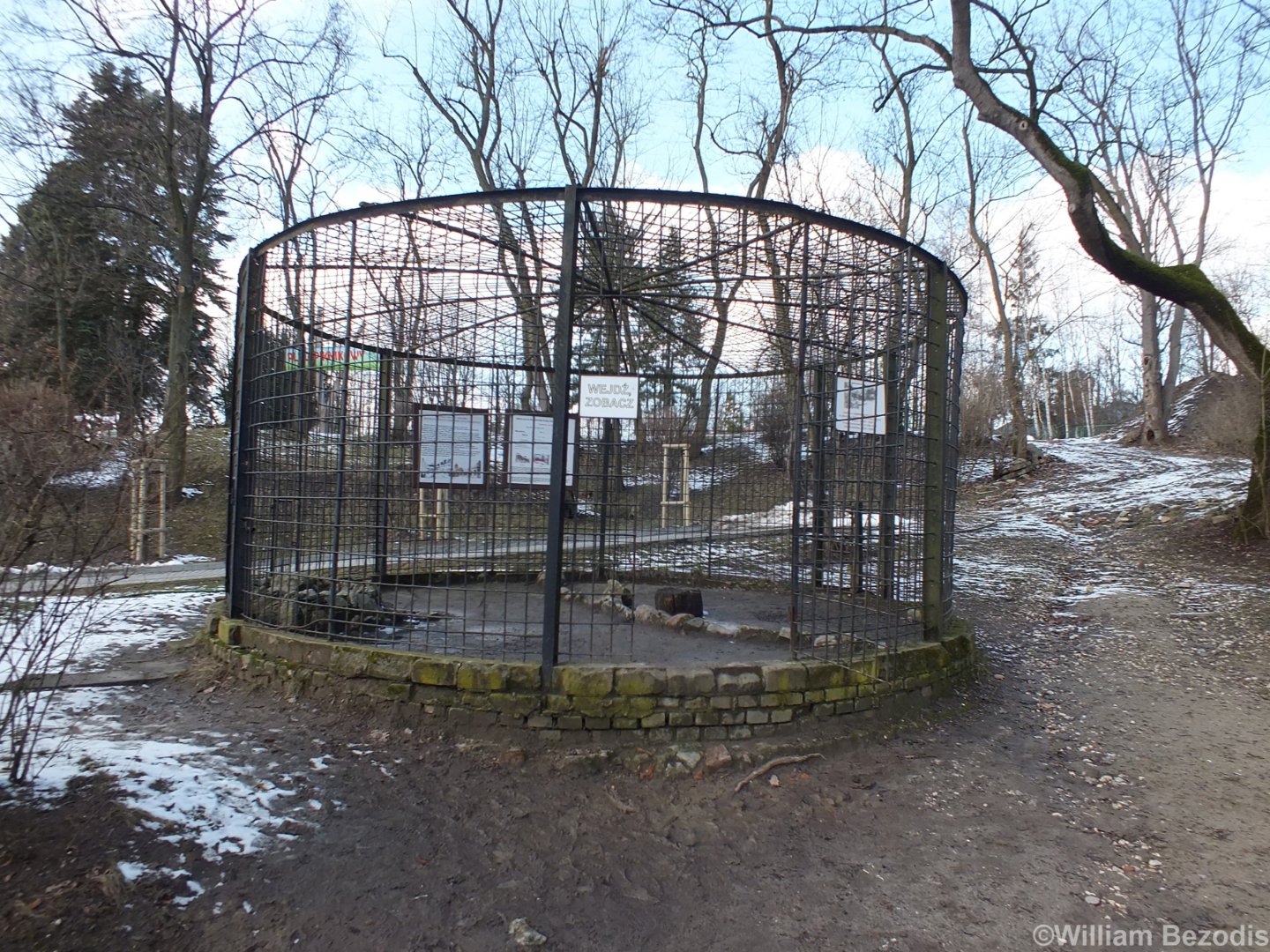 Historic Cage Display