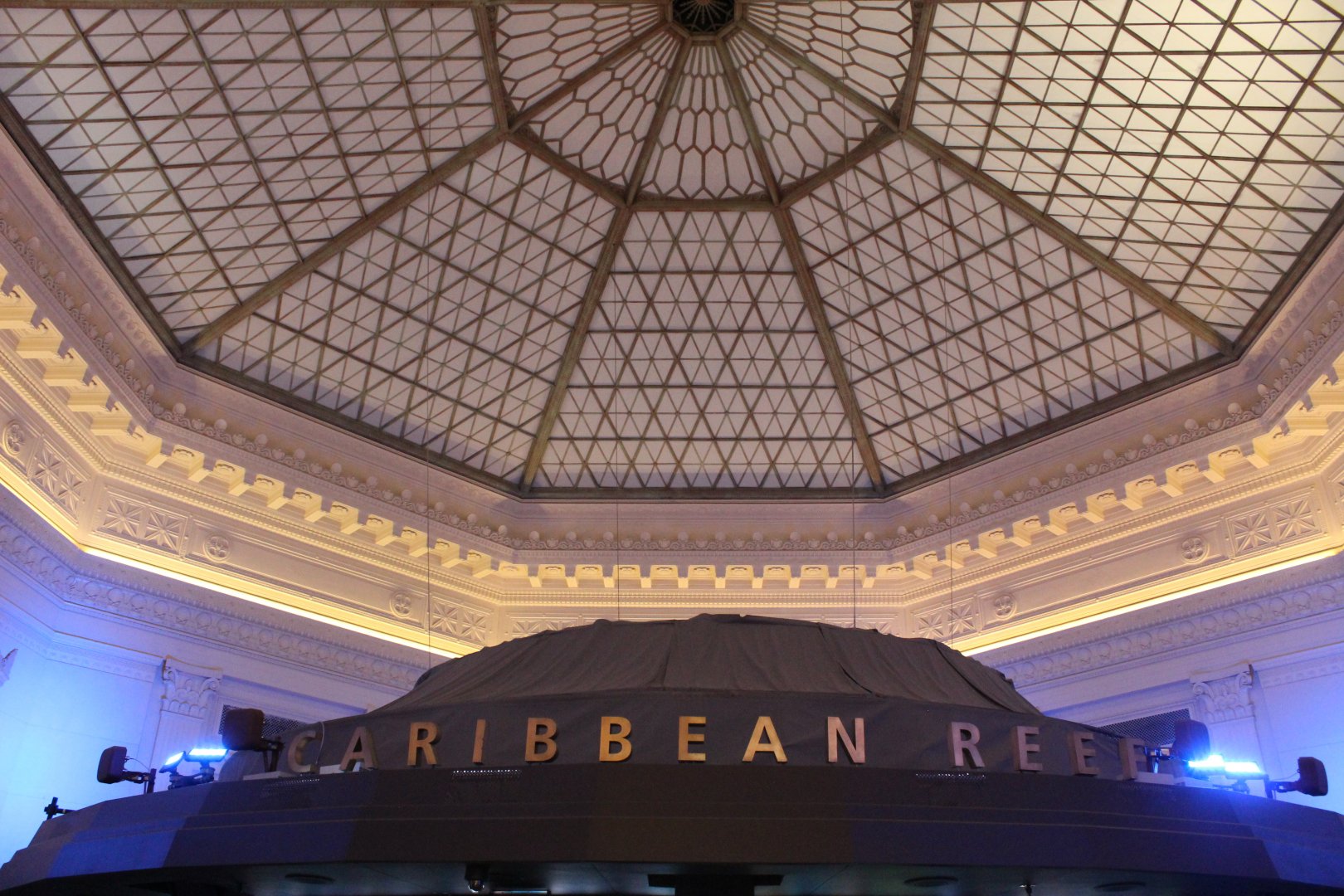 Historic Ceiling above Caribbean Reef