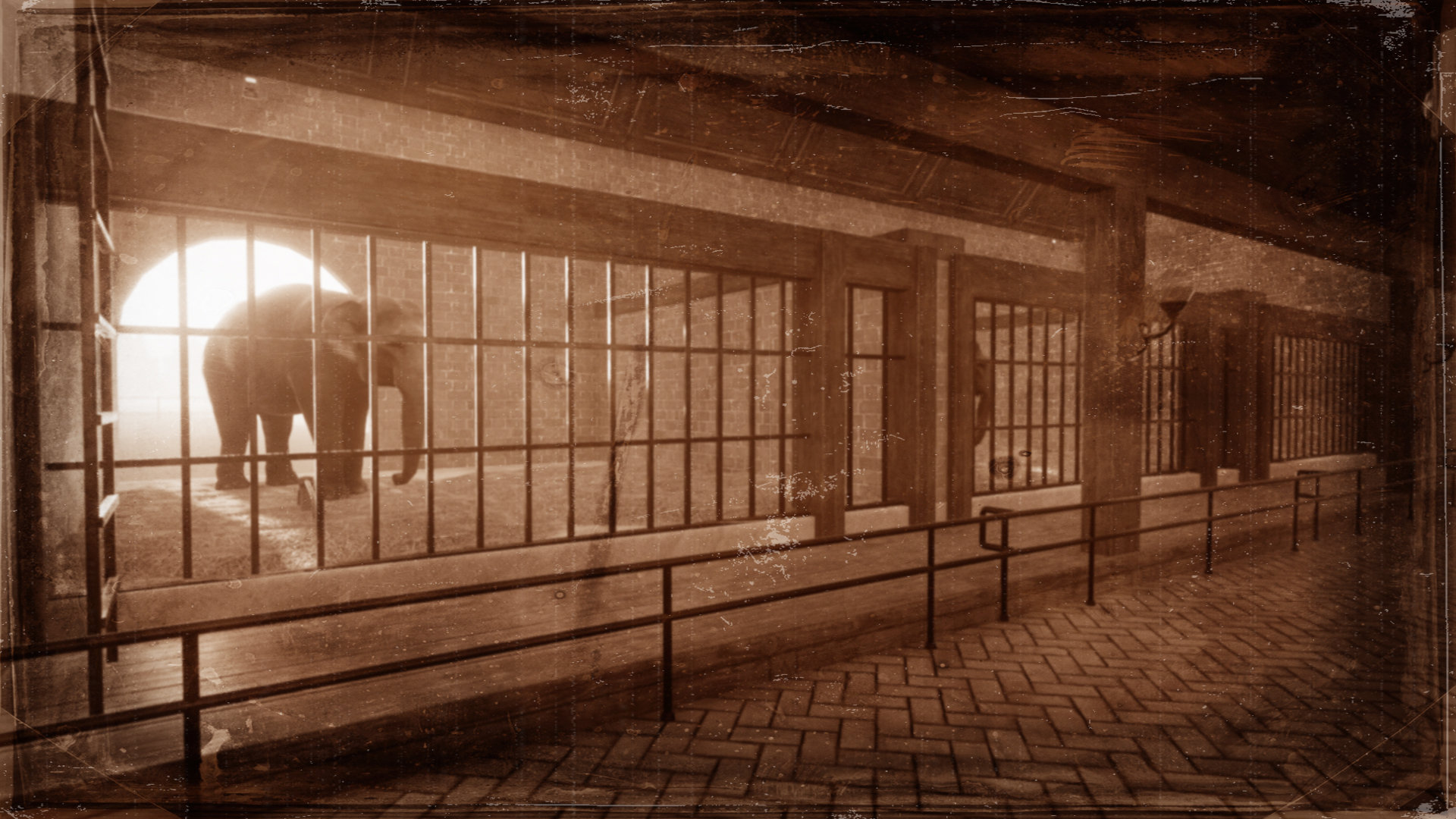 Historic Elephant House 1