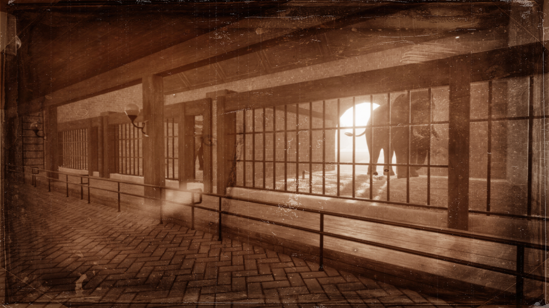 Historic Elephant House 2