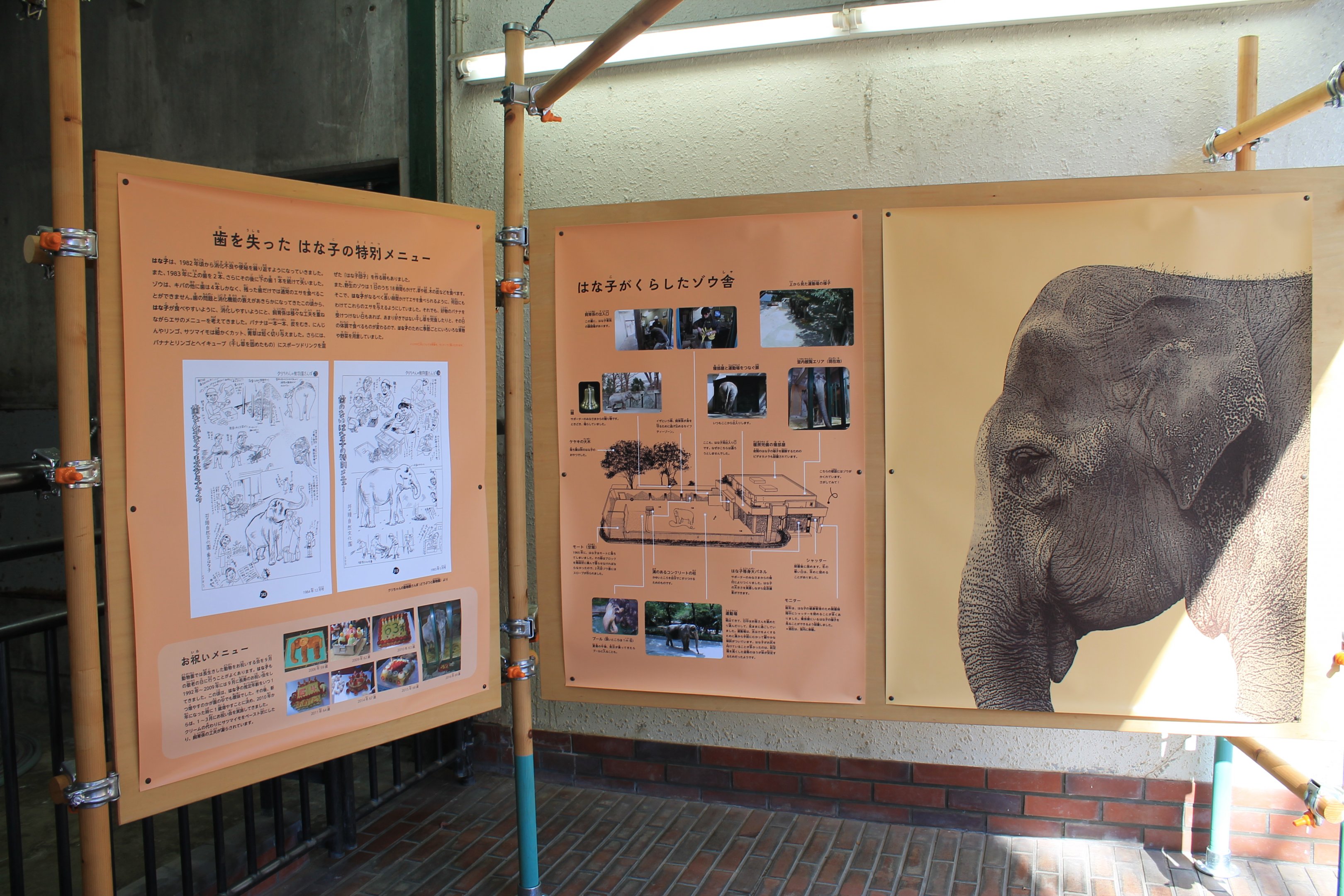 Historic elephant house signage