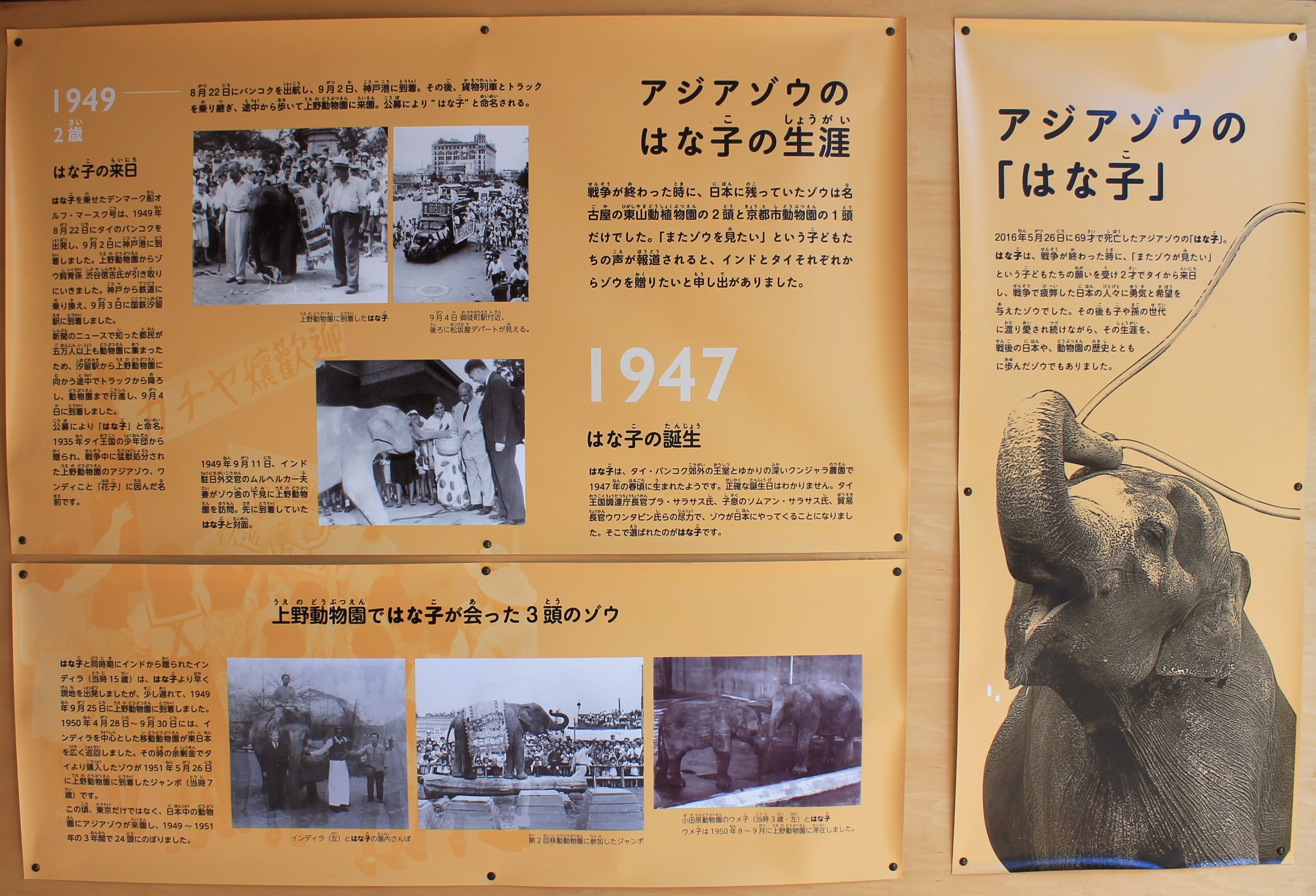 Historic elephant house timeline signage