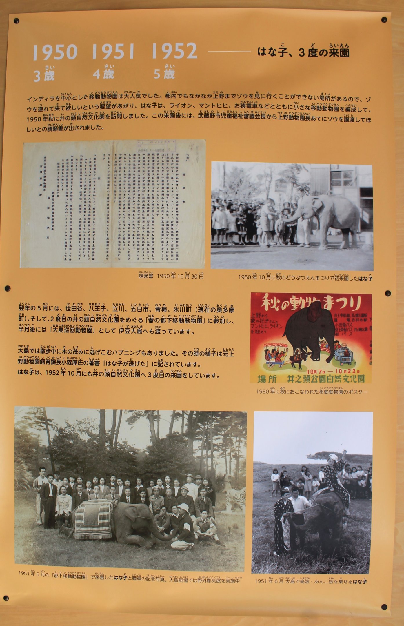 Historic elephant house timeline signage