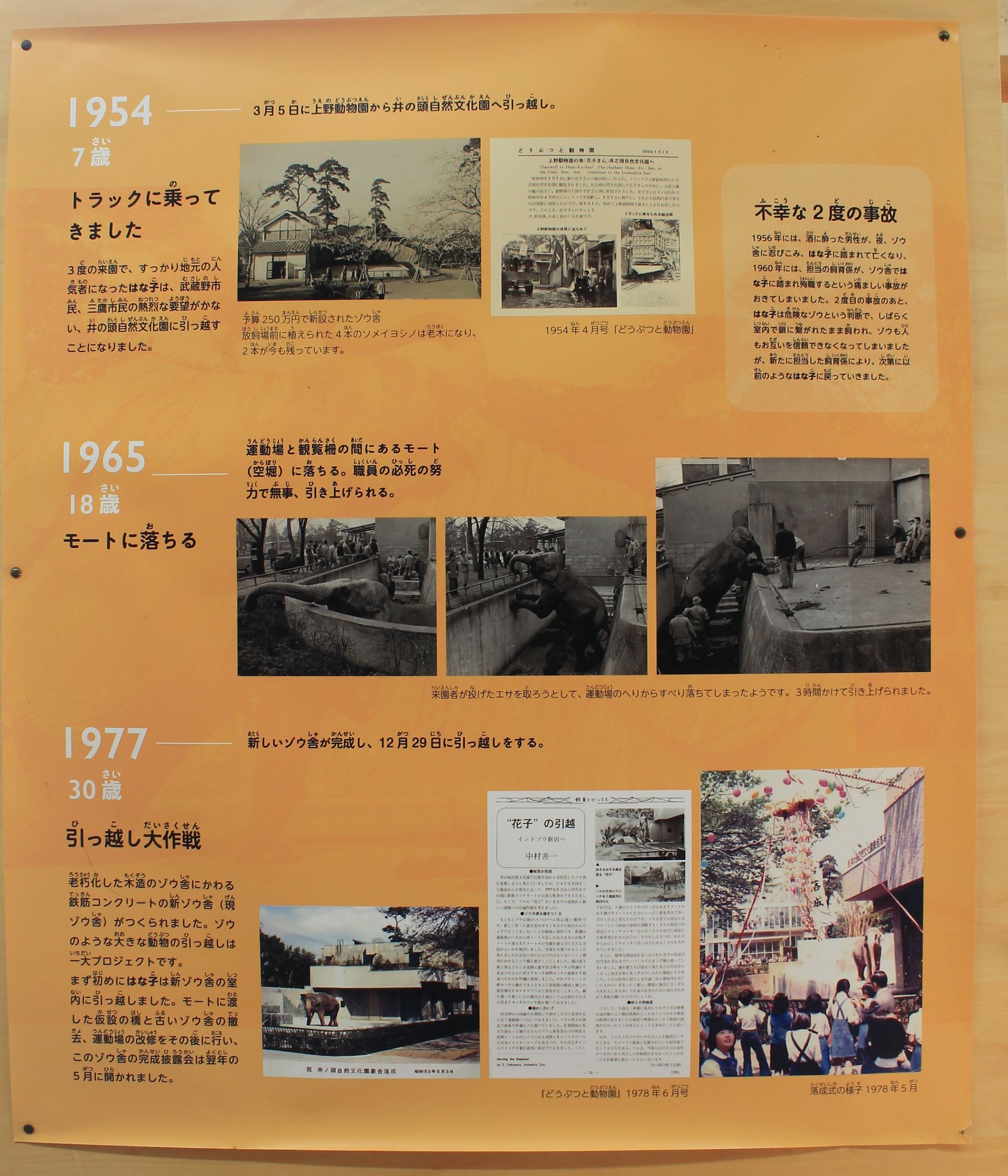 Historic elephant house timeline signage