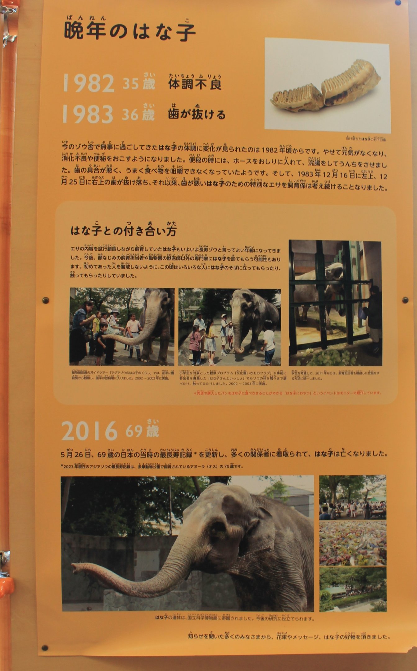 Historic elephant house timeline signage