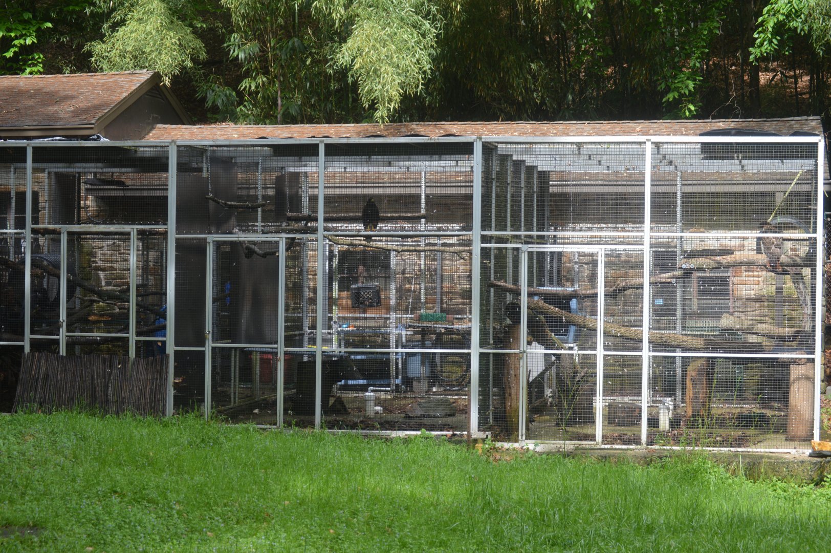 Historic Main Valley - Raven and Bird-of-Prey Exhibits