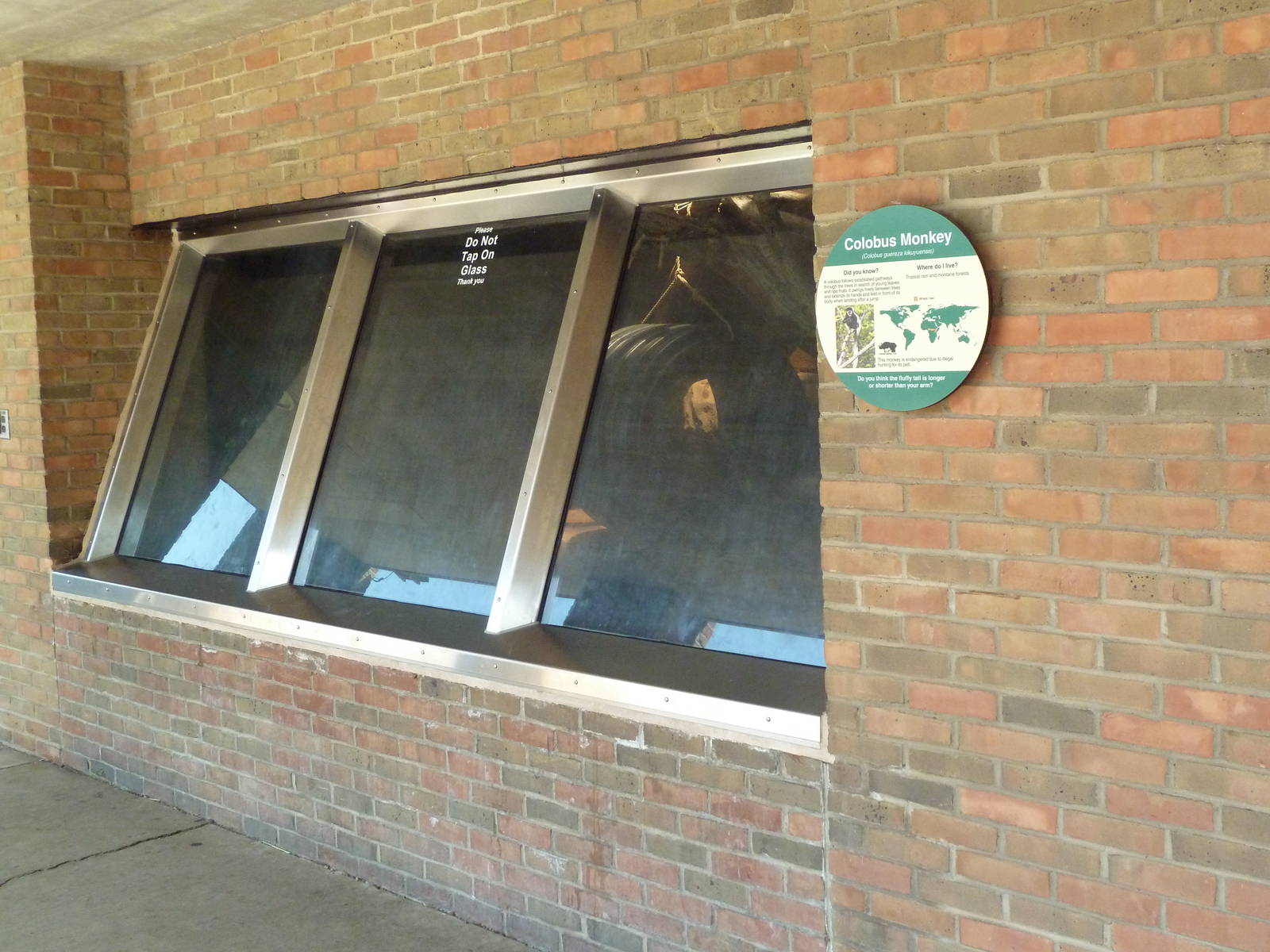 Historic Monkey Mountain - Colobus Monkey Indoor Exhibit