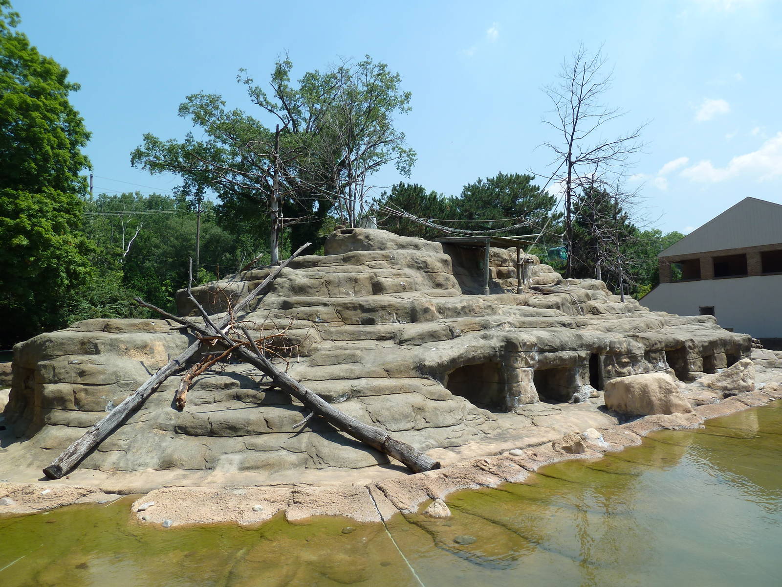 Historic Monkey Mountain - Colobus Monkey/Klipspringer/Rock Hyrax Exhibit
