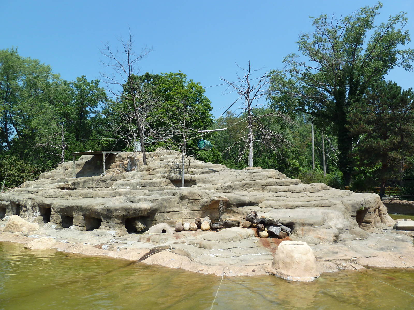 Historic Monkey Mountain - Colobus Monkey/Klipspringer/Rock Hyrax Exhibit