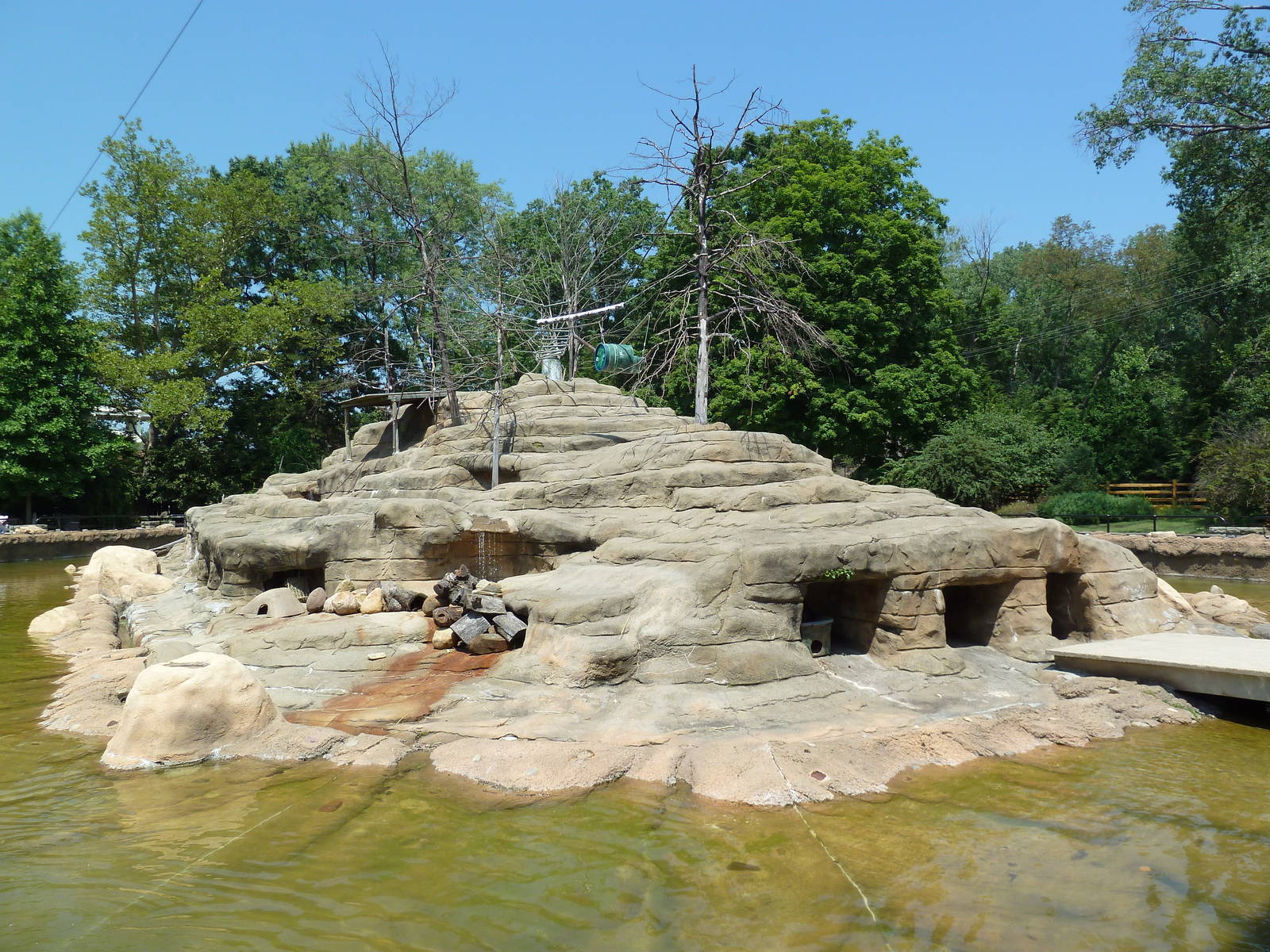 Historic Monkey Mountain - Colobus Monkey/Klipspringer/Rock Hyrax Exhibit