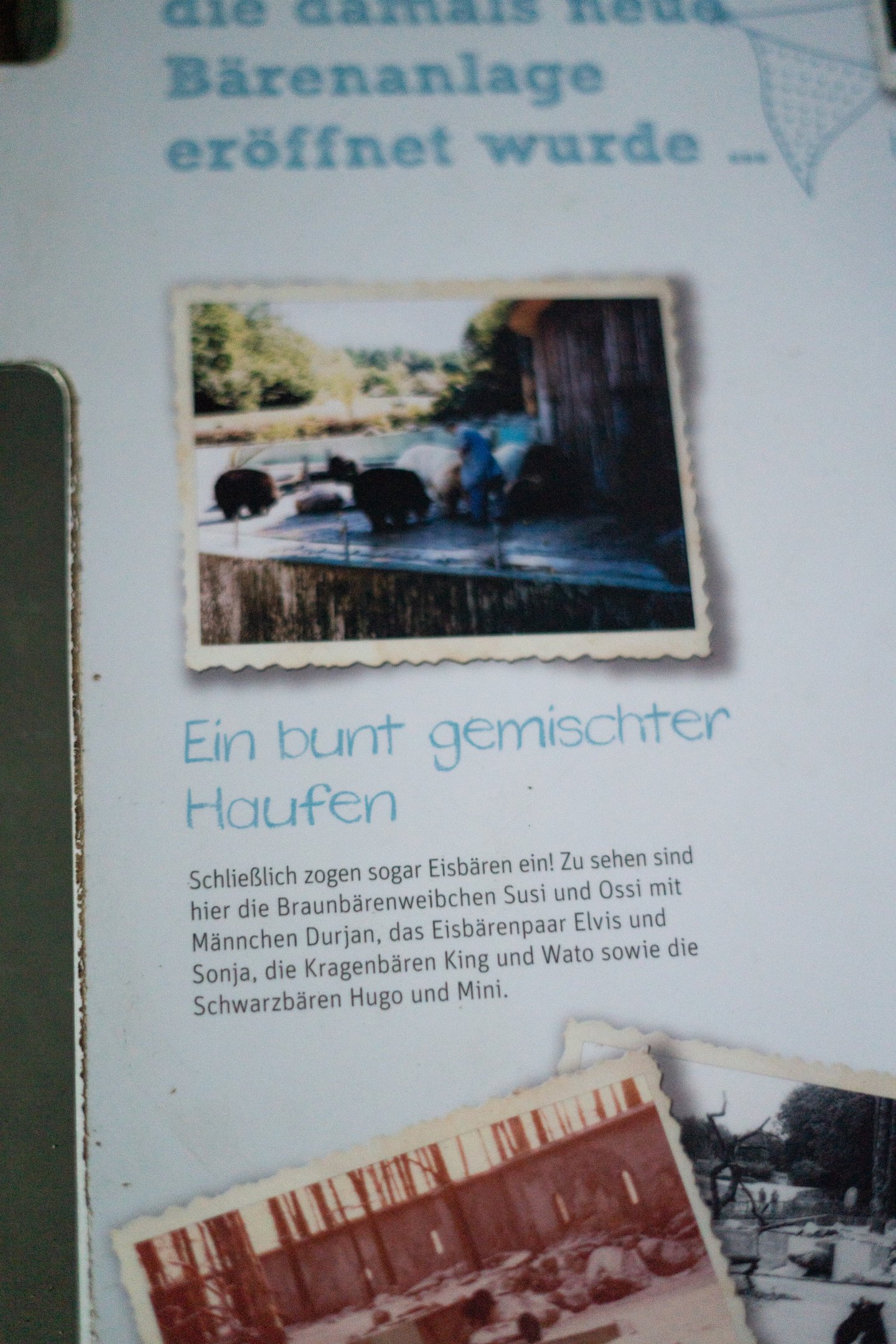 Historic photo with keeper in the mixed bear enclosure