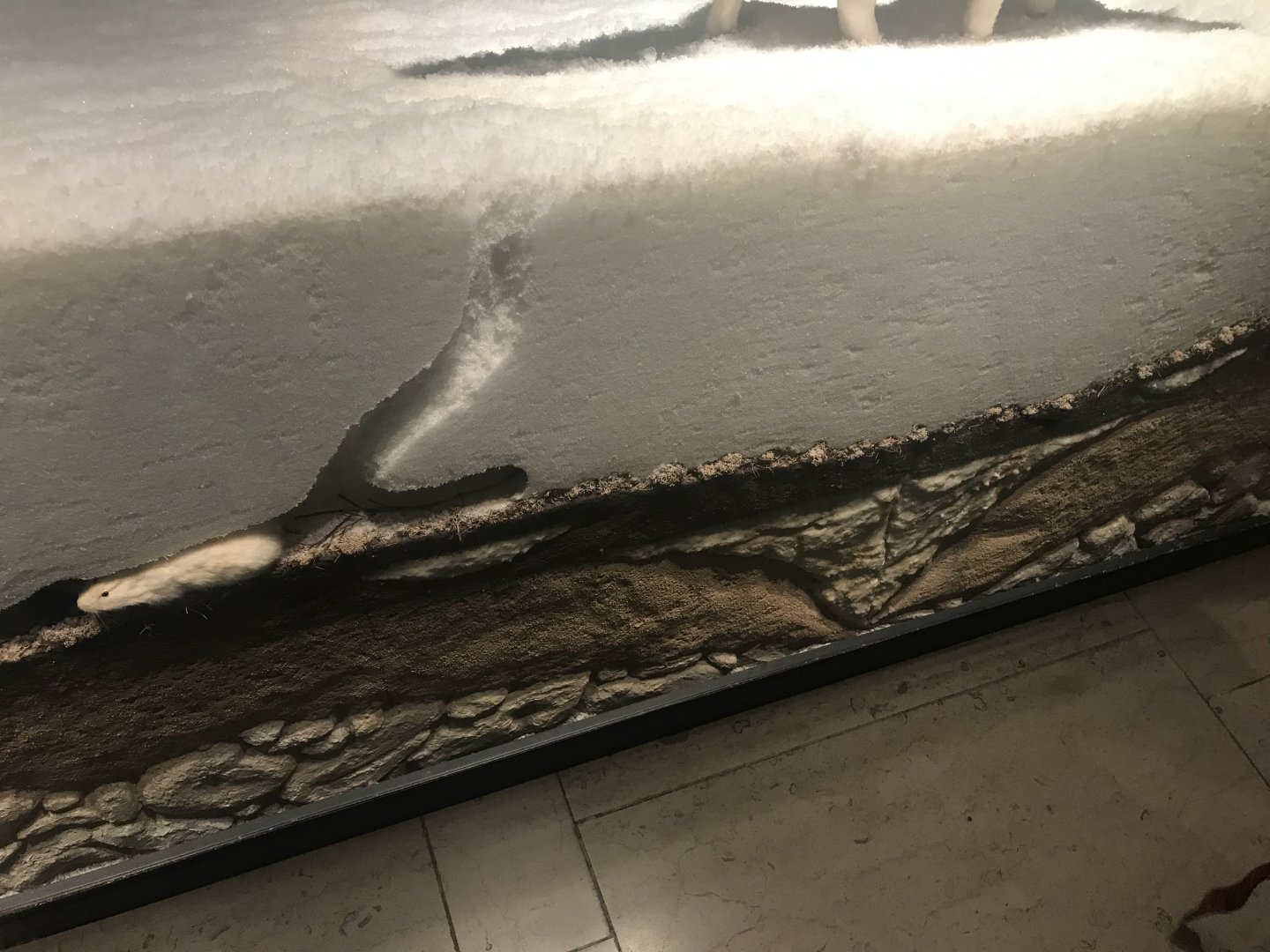 Historic Scotland- Lemmings