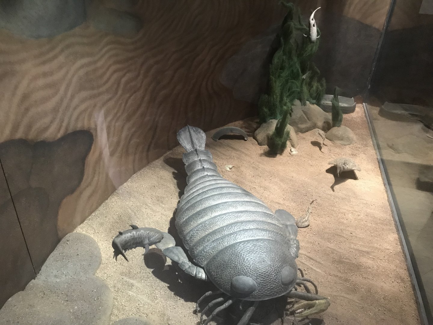 Historic Scotland- Prehistoric species exhibit