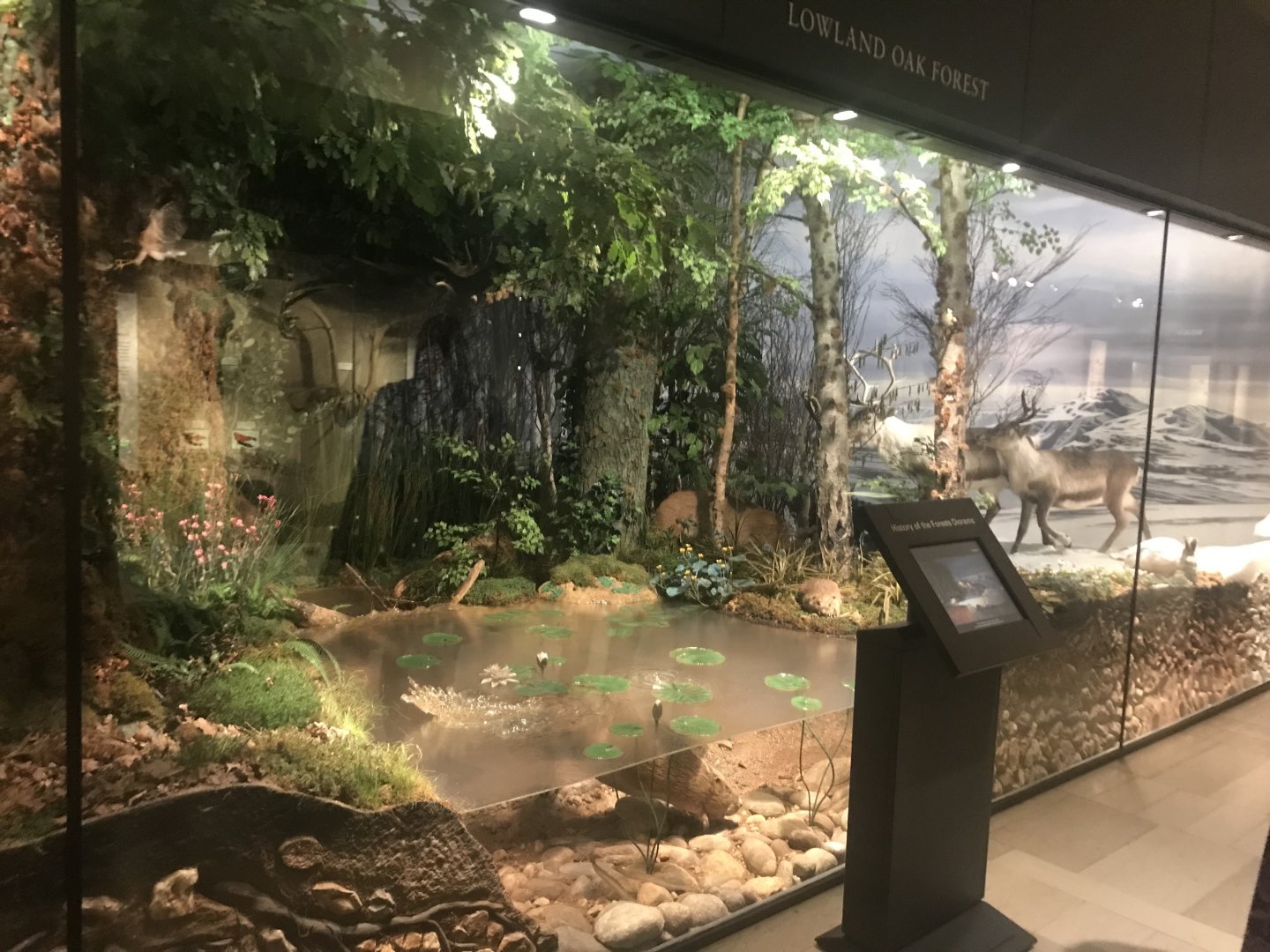 Historic Scotland- View of exhibit (2)