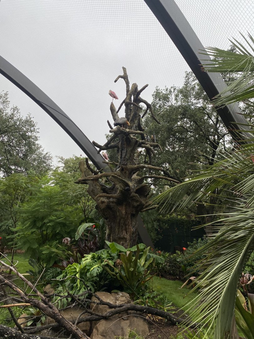 Historic Tree Sculpture