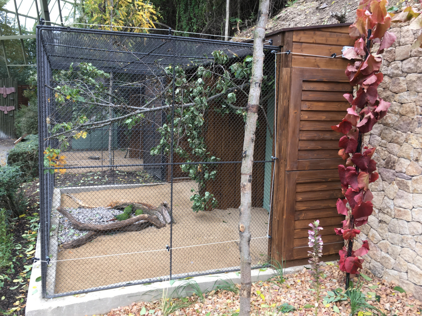 Historical Aviaries near Rakos´ House of Parrots