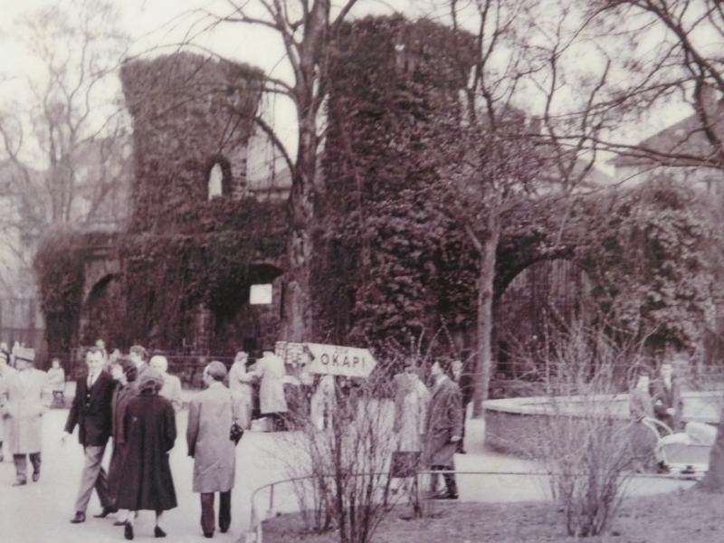 Historical Bear Castle