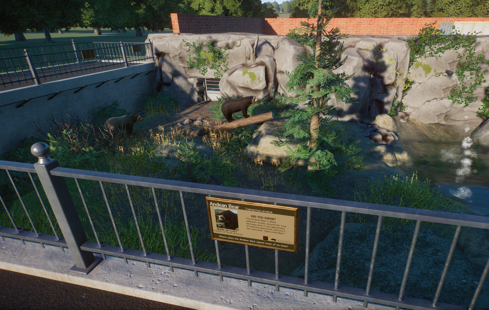 Historical Bear Exhibit - Andean Bear