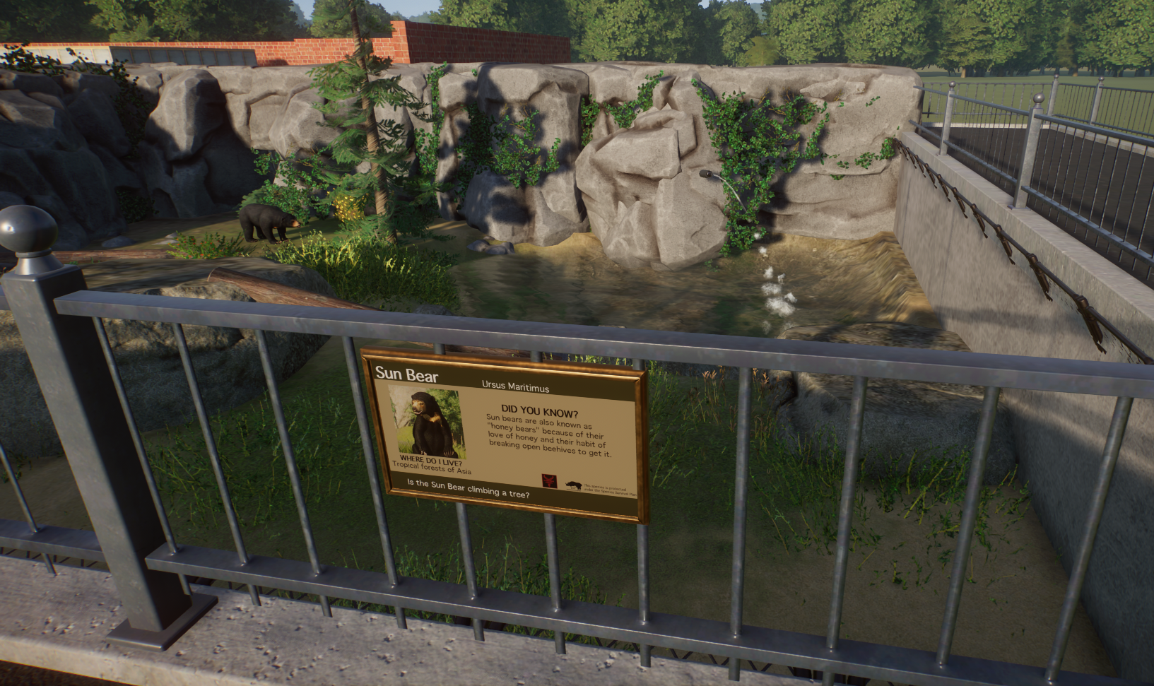 Historical Bear Exhibit - Sun Bear