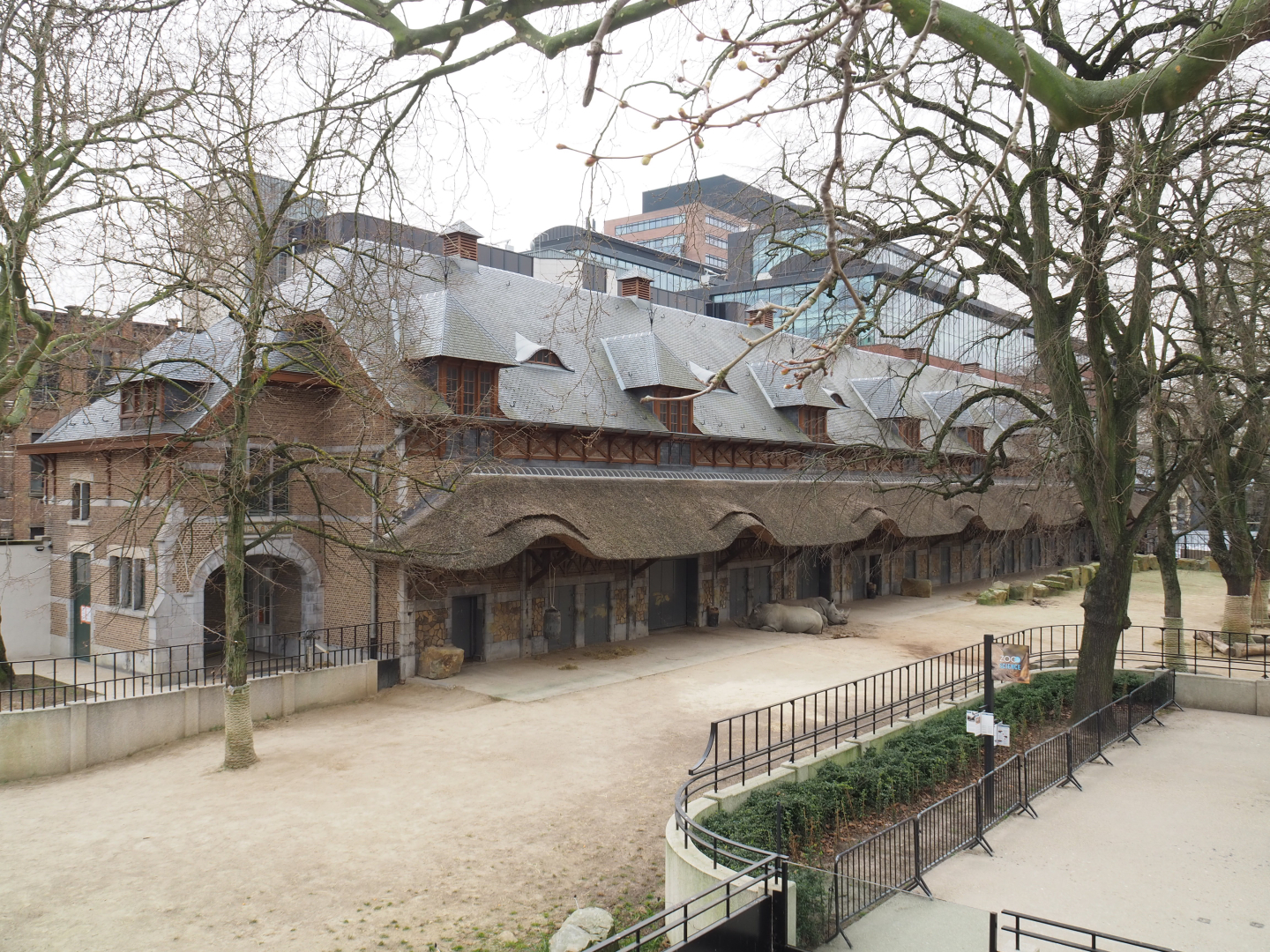 Historical Bovine house and part of the Southern white rhinoceros paddock, 2022-03-16