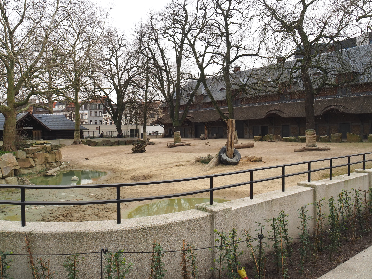 Historical Bovine house and Southern white rhinoceros paddock, 2022-03-16