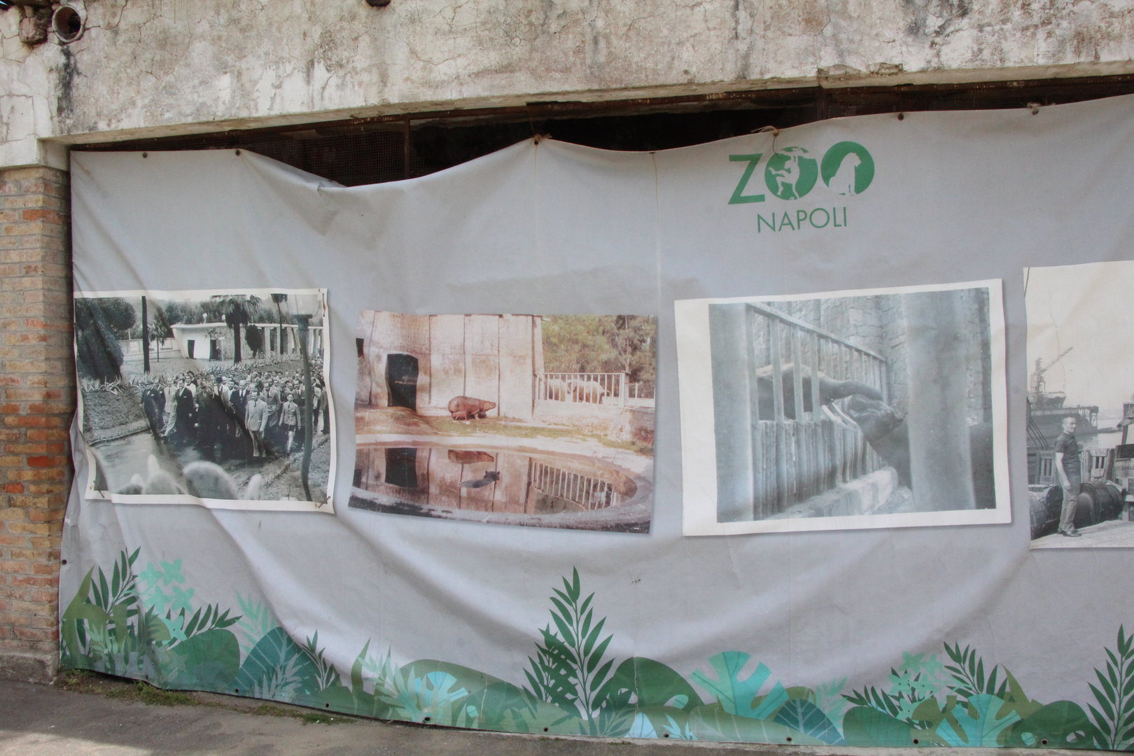 Historical Display On Old Tiger House