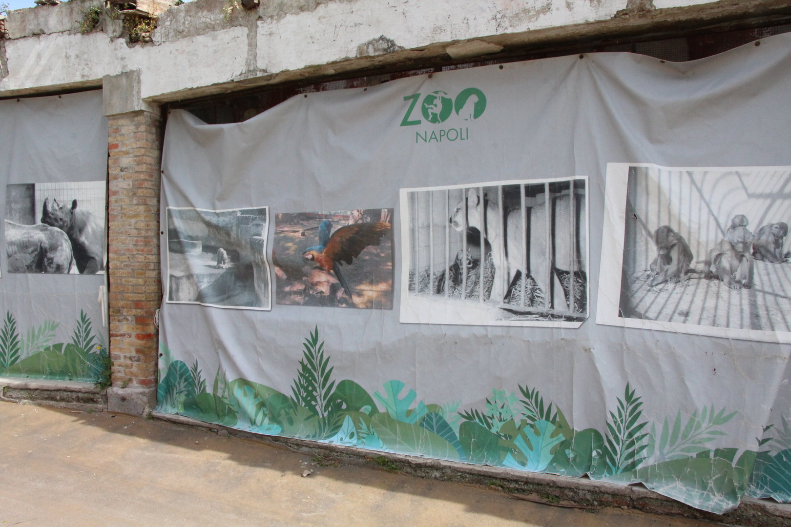 Historical Display On Old Tiger House