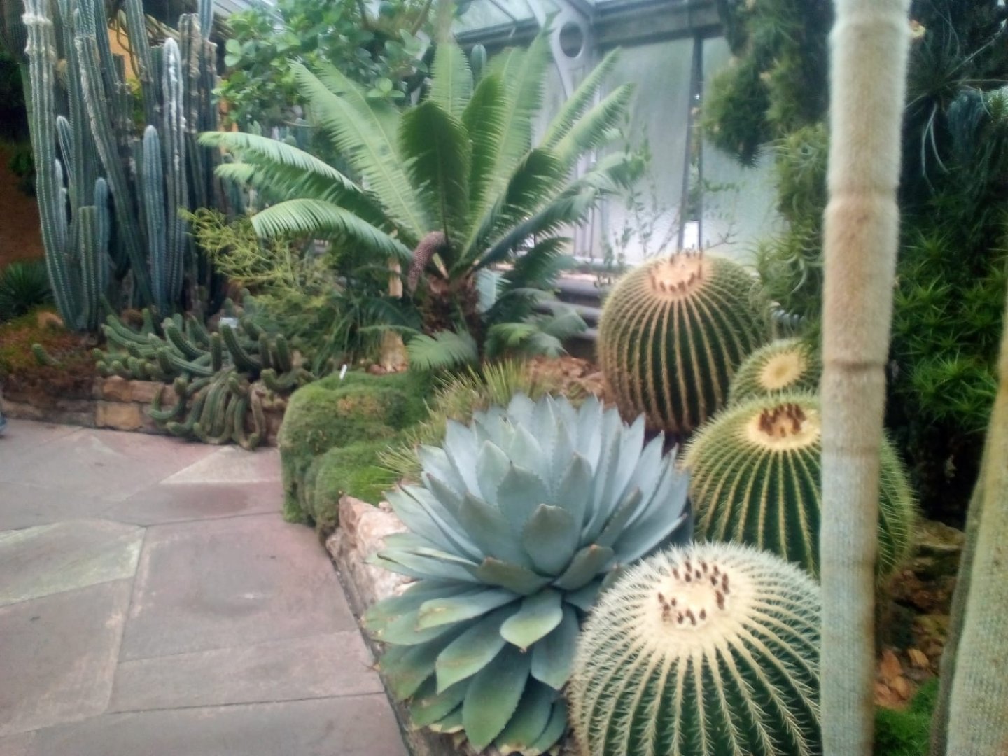 Historical Green House