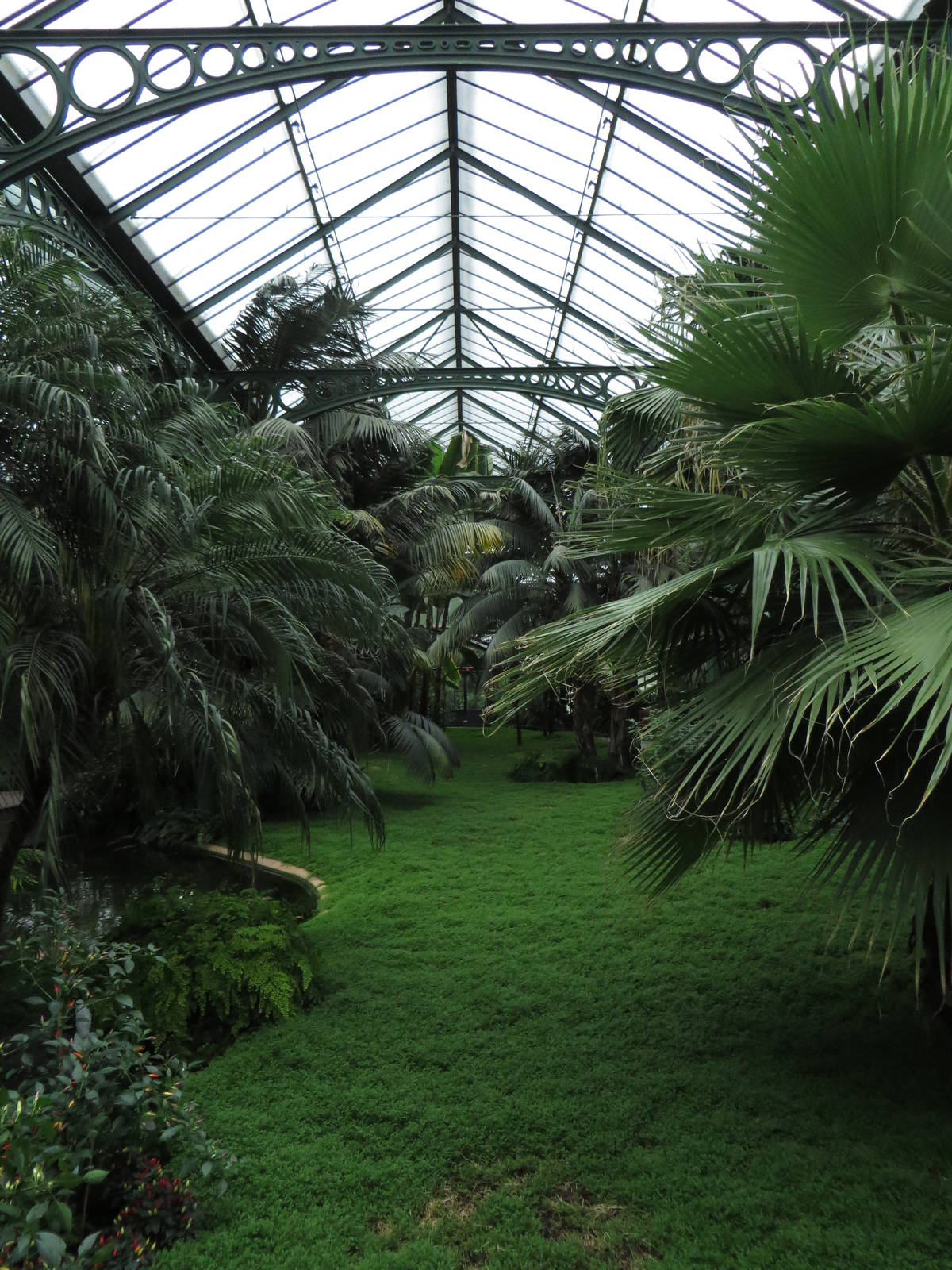 Historical greenhouse