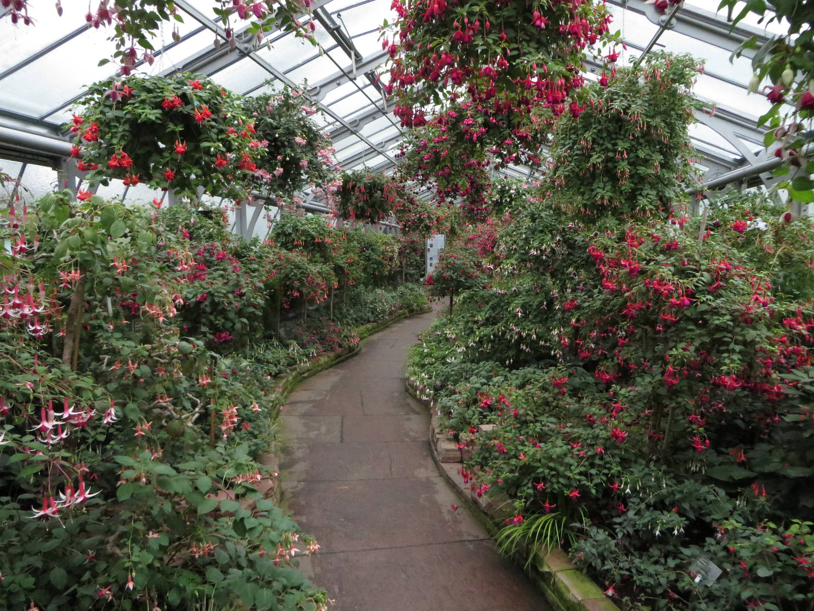 Historical greenhouse