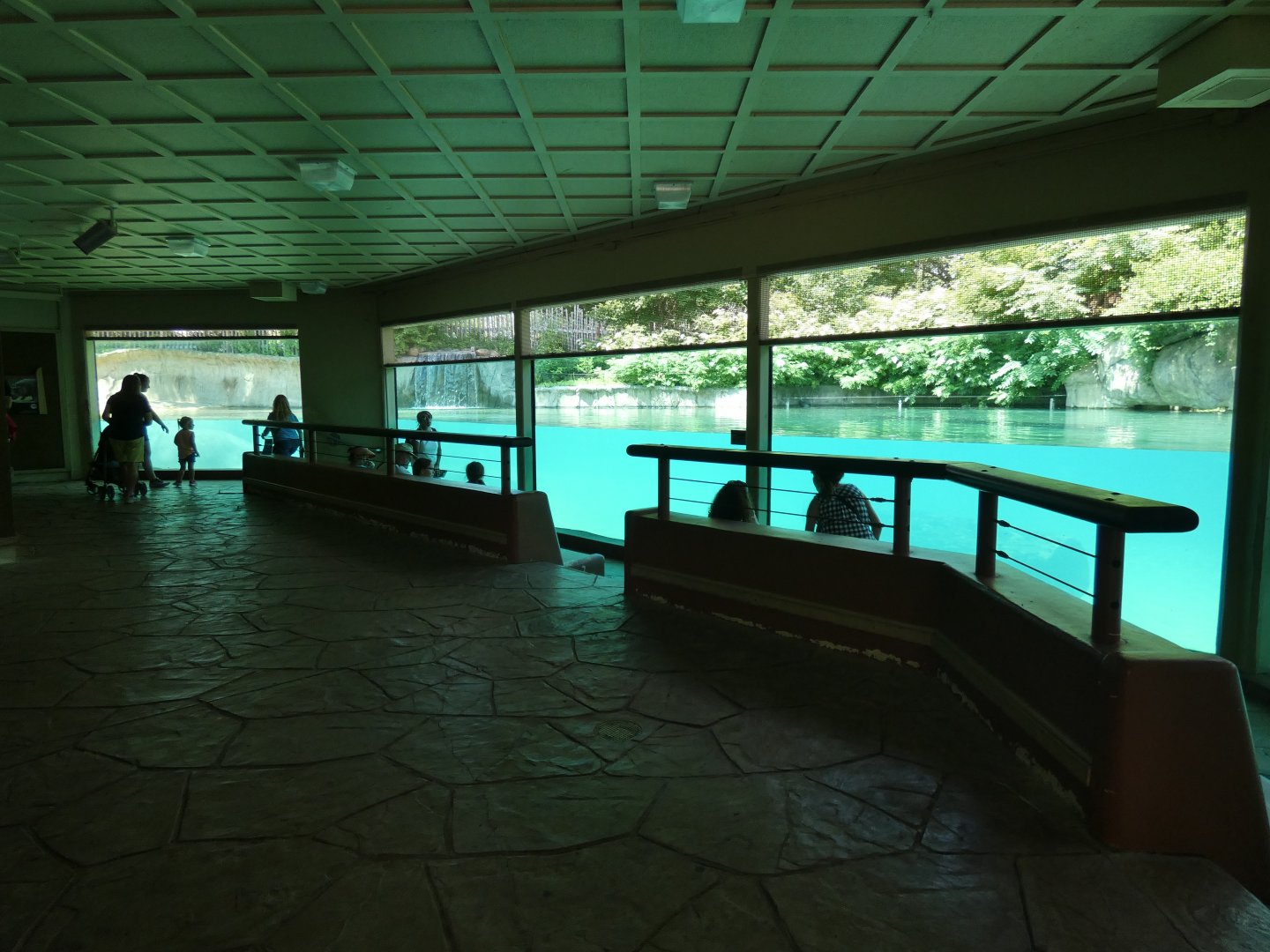 Historical Hippoquarium, Tembo Trail - July 2021