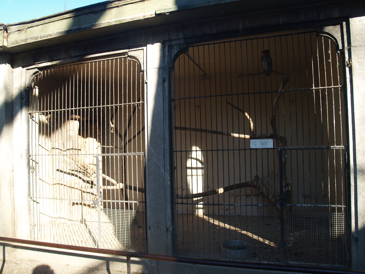 Historical photo of the old set-up of the bird-of-prey aviaries (Circa 2007)