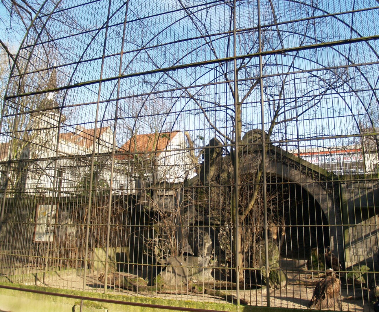 Historical photo of the old set-up of the bird-of-prey aviaries (Circa 2008)