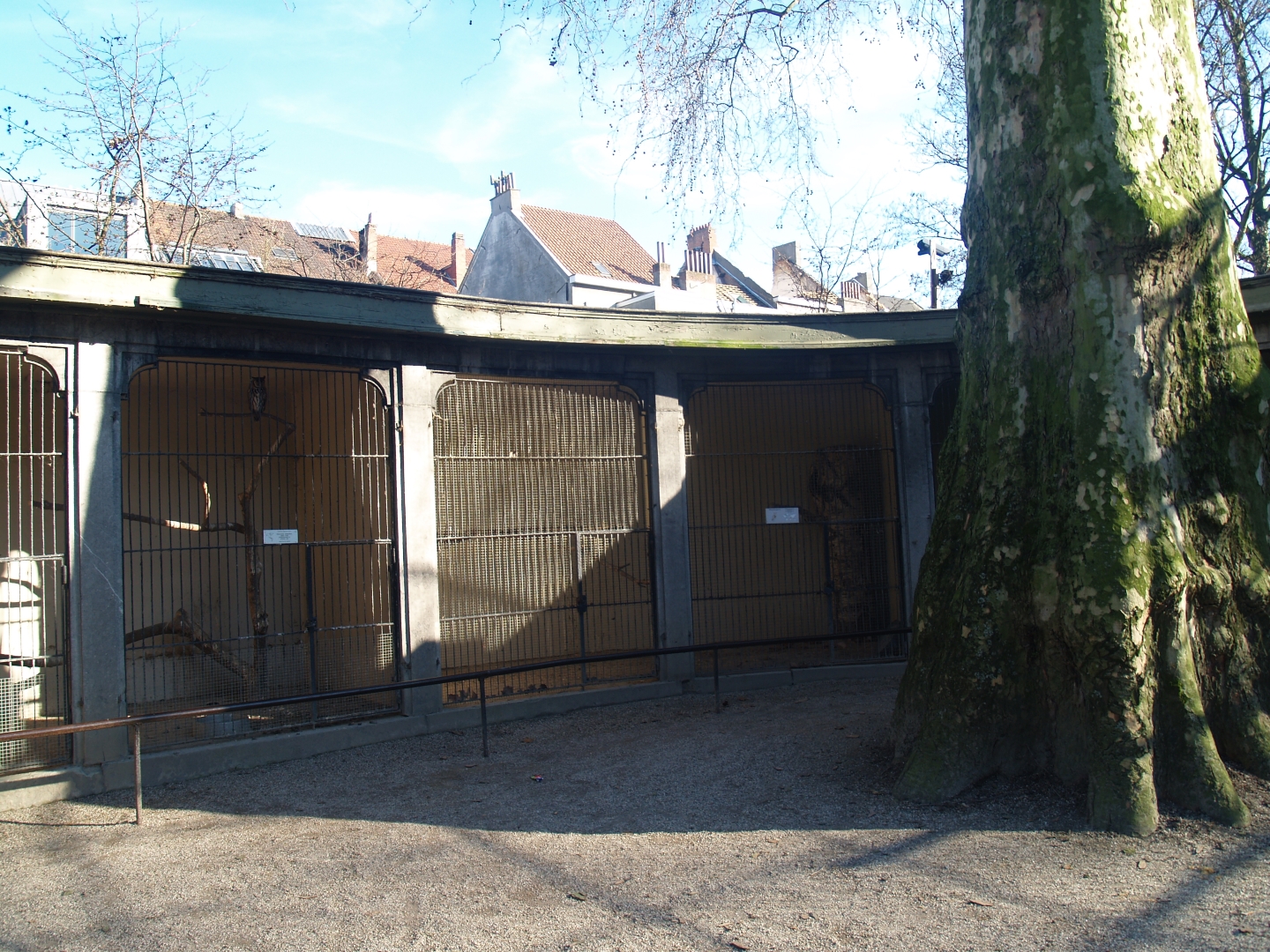 Historical photo of the old set-up of the bird-of-prey aviaries (Circa 2008)