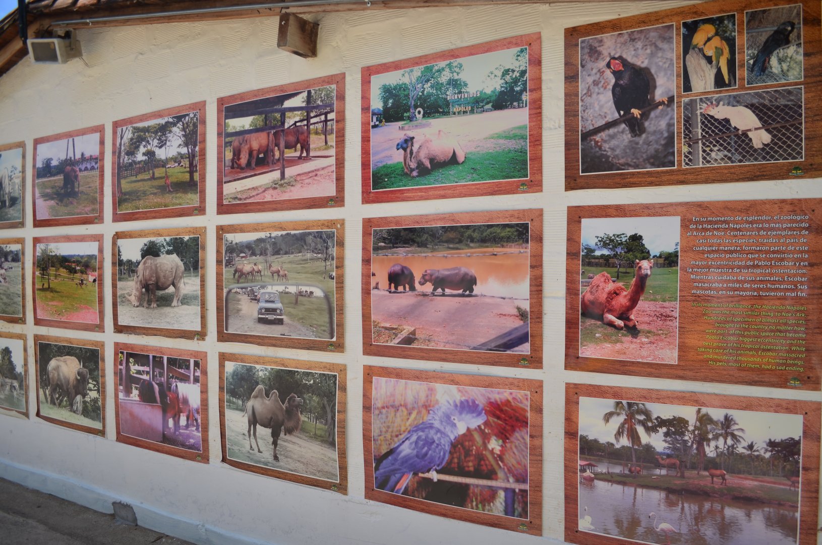 Historical photo wall from the times in which it was still held by Pablo Escobar