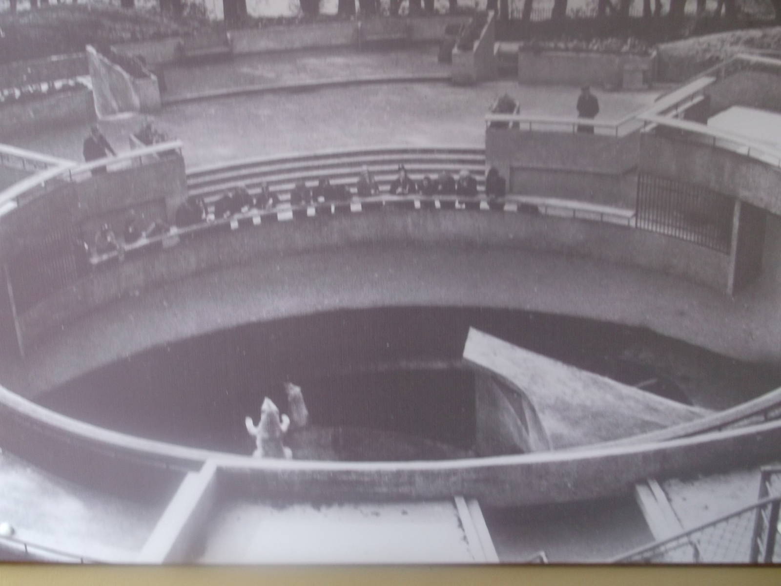 Historical Polar Bear Posters