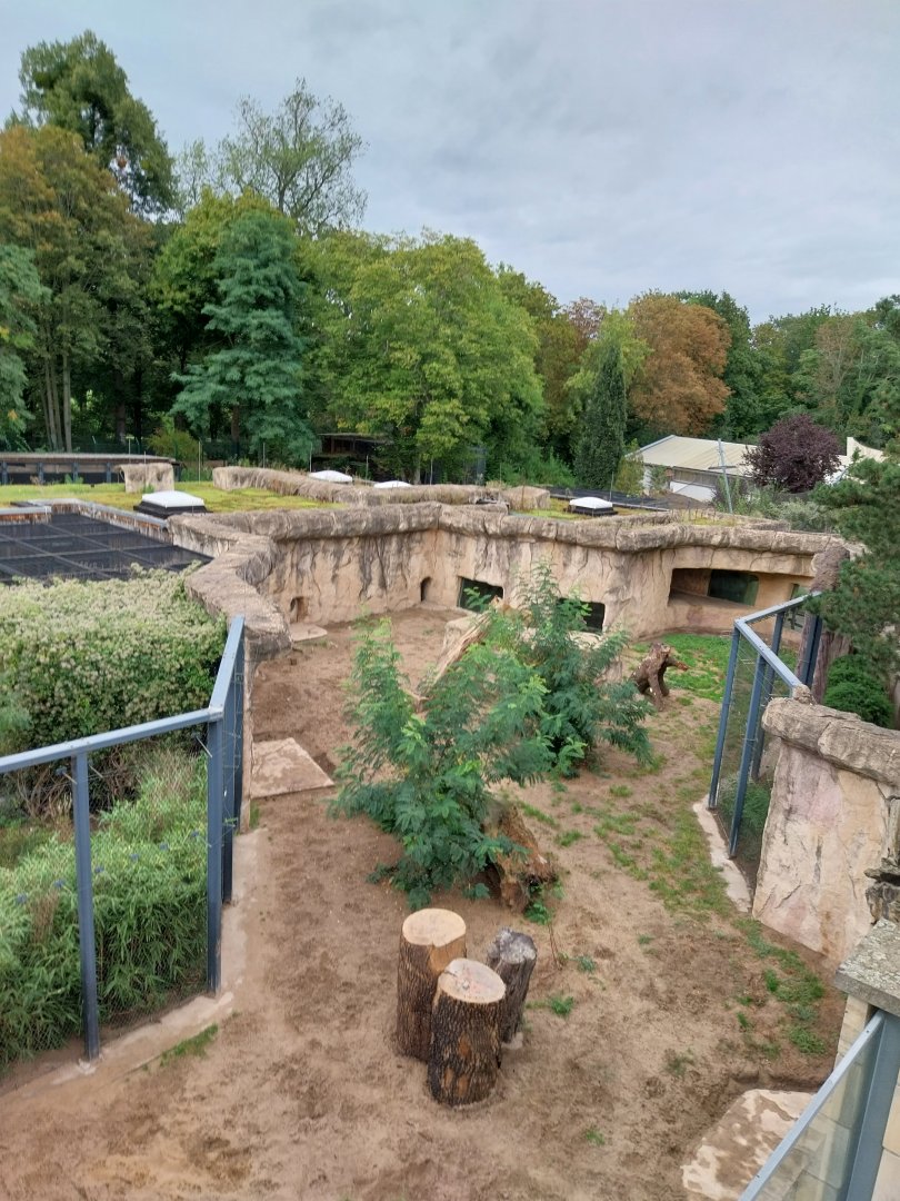 Historical Raubtierfelsen - Lion enclosure