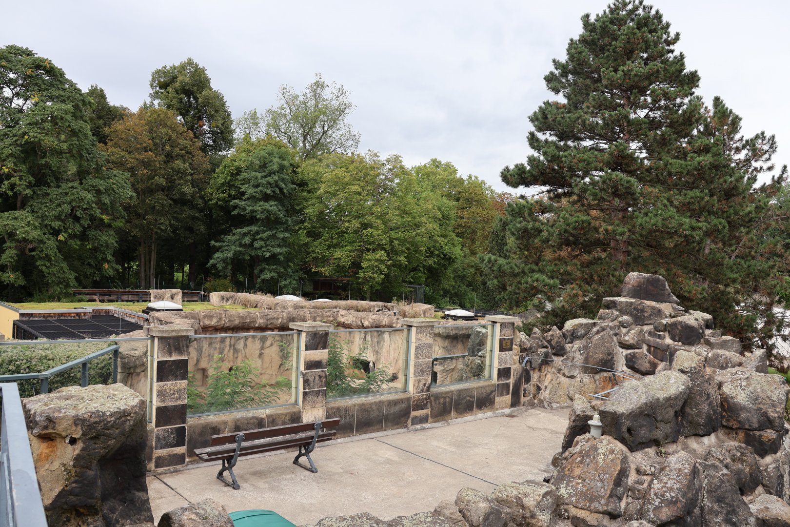 Historical Raubtierfelsen - Lion House