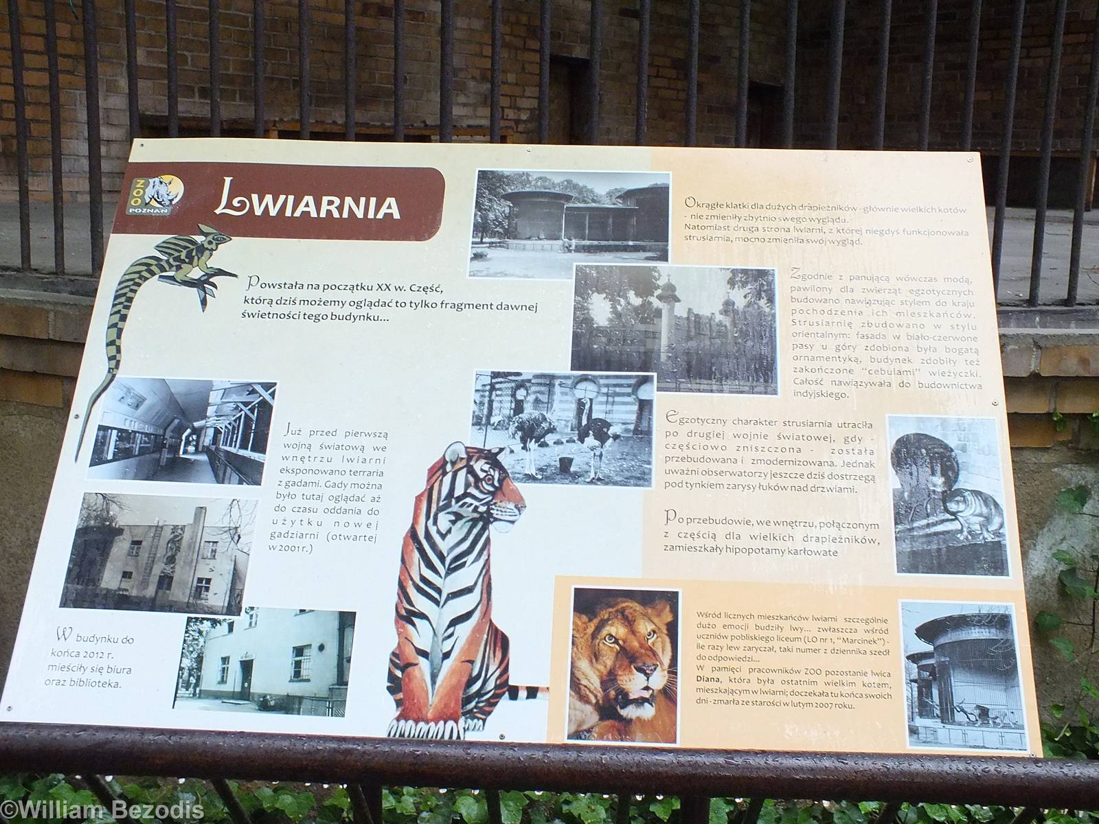 Historical Sign Big Cats