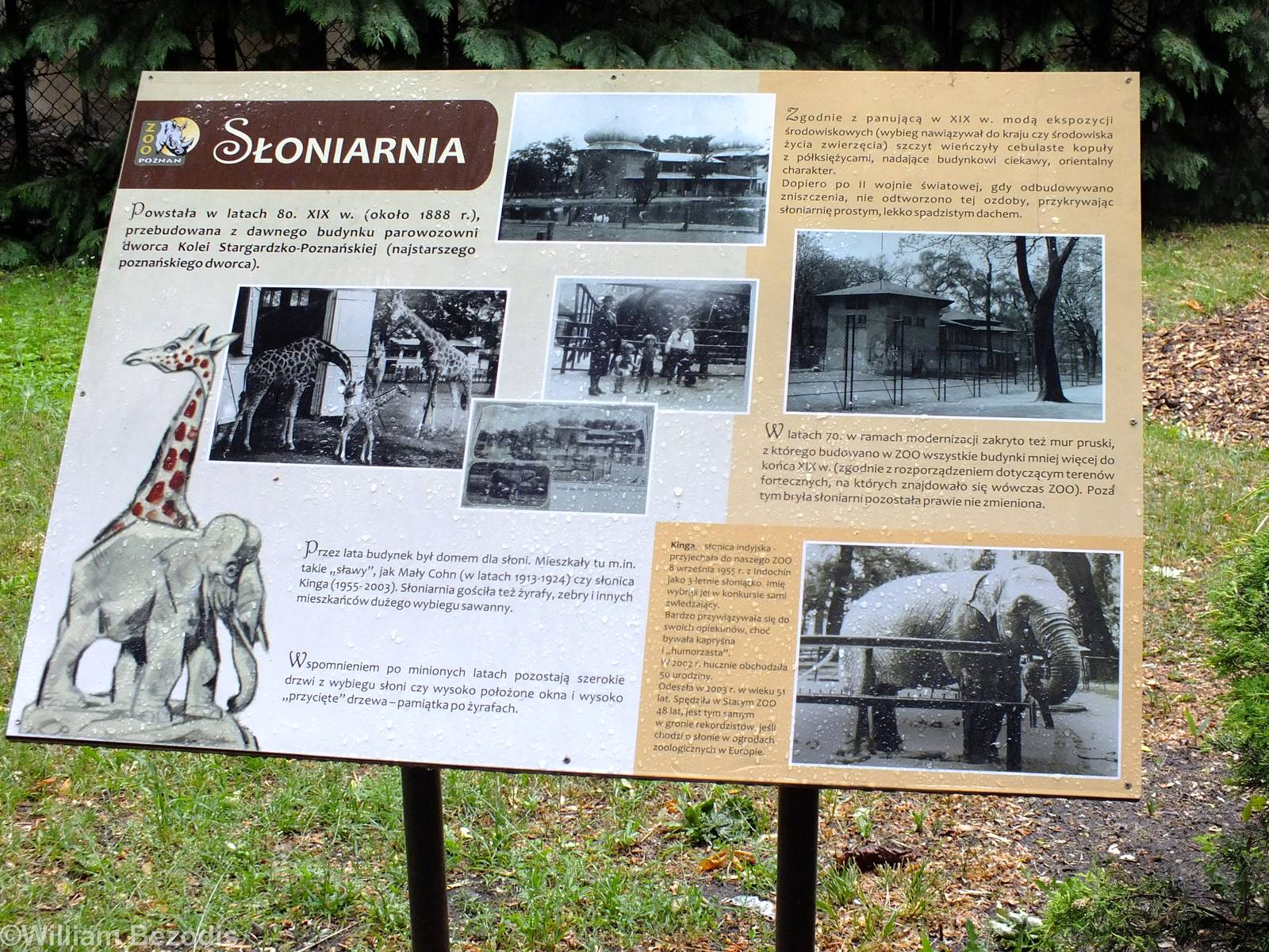 Historical sign Elephants