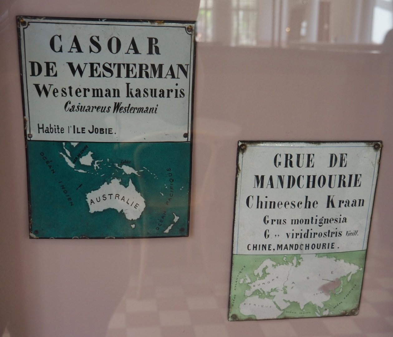 Historical signs for Papuan dwarf cassowary and Red-crowned crane, 2021-07-17