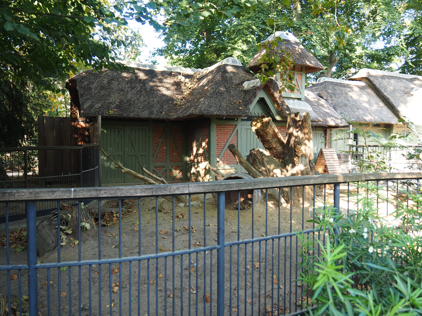 Historical small deer exhibit, currently home to Hermann's tortoises, 2020-09-20