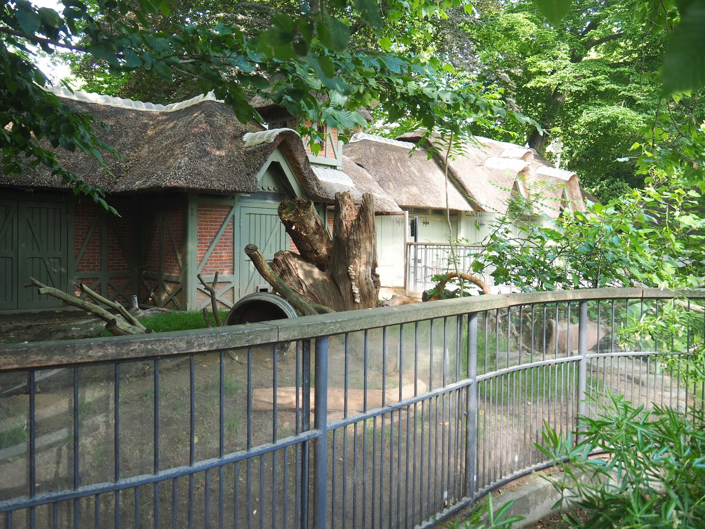 Historical small deer exhibit - Now housing Meerkats and Hermann's tortoises, 2022-05-26