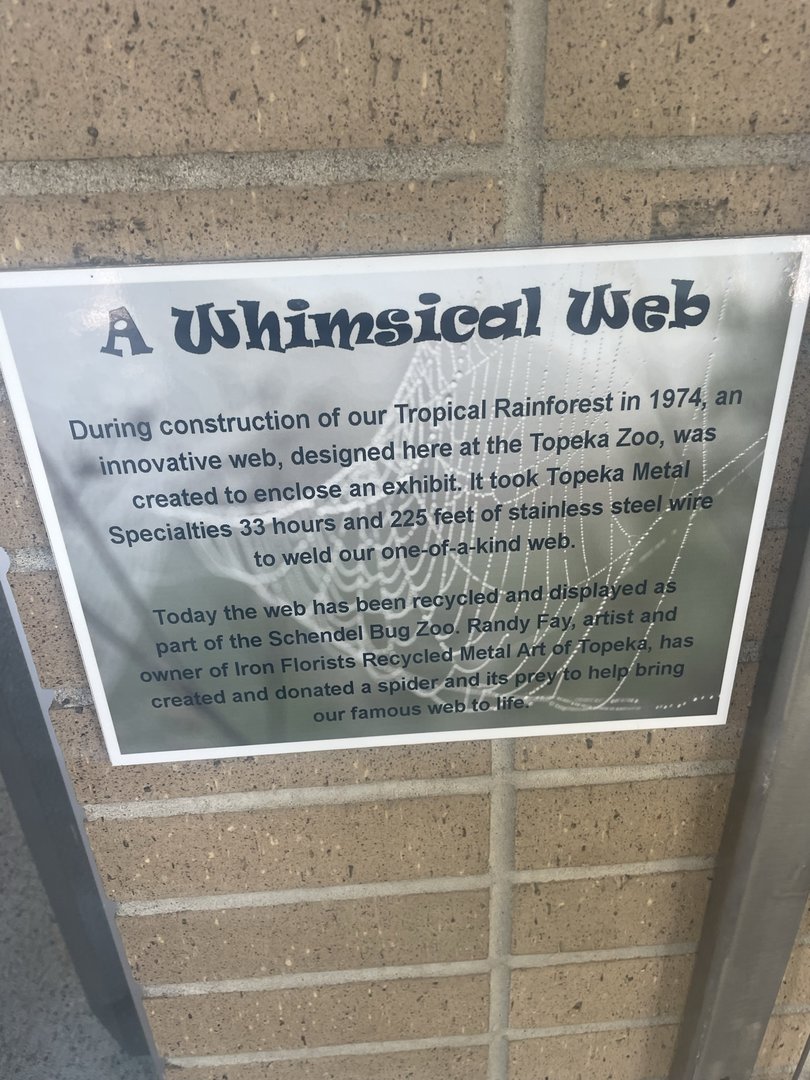 Historical Spider Web Info