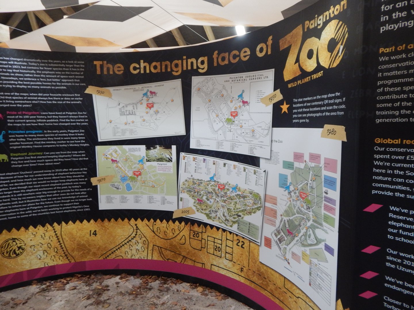 History Display 050224