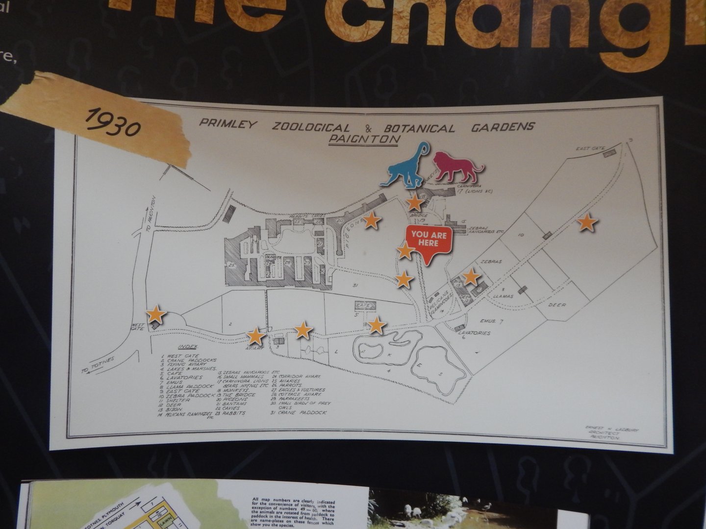 History Display 050224