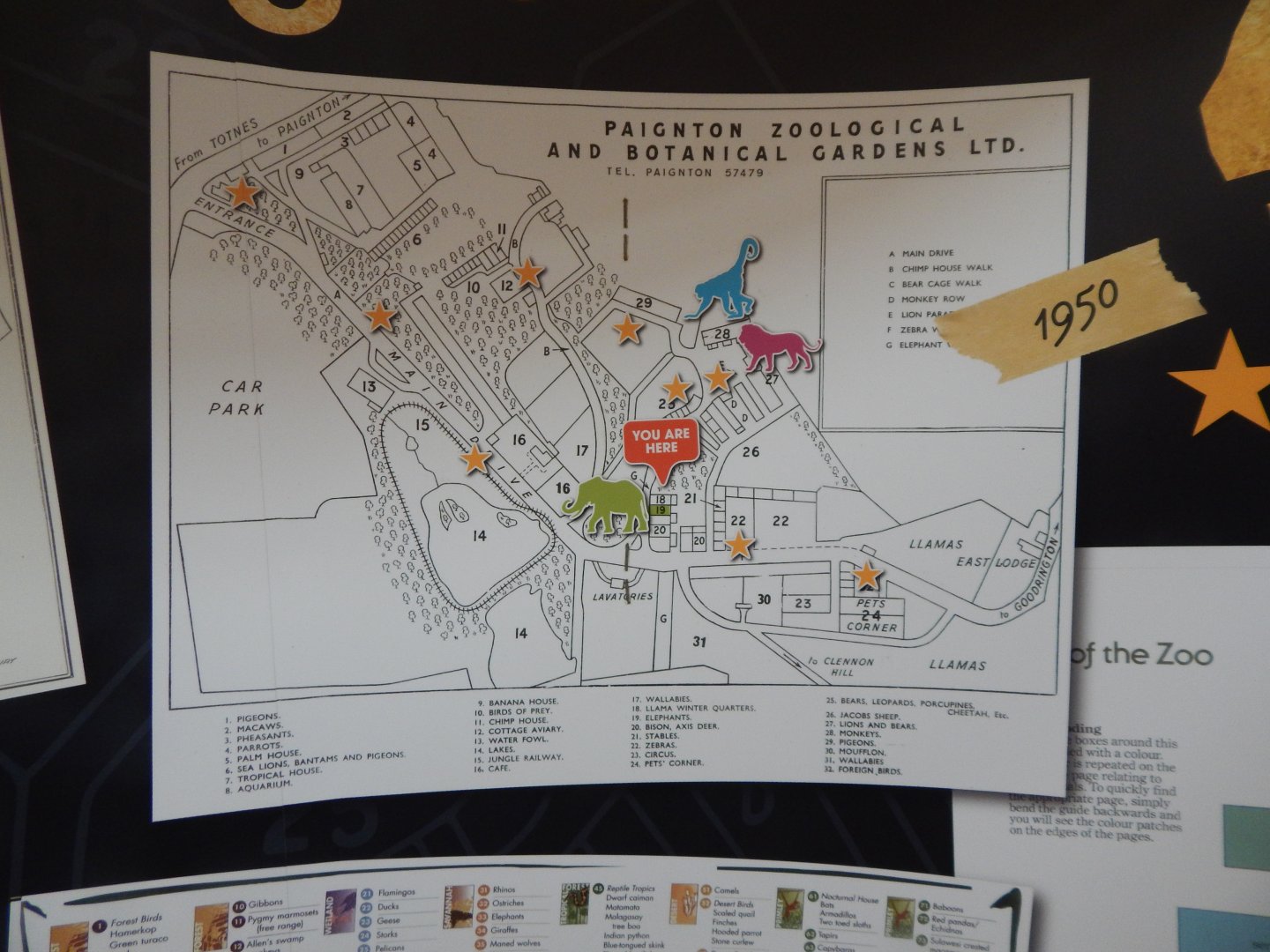 History Display 050224