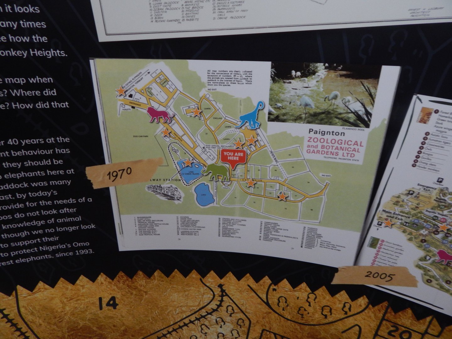 History Display 050224