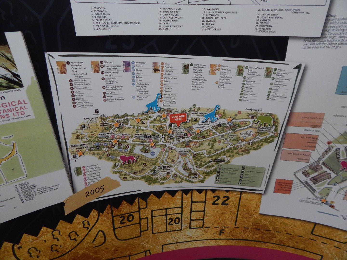 History Display 050224