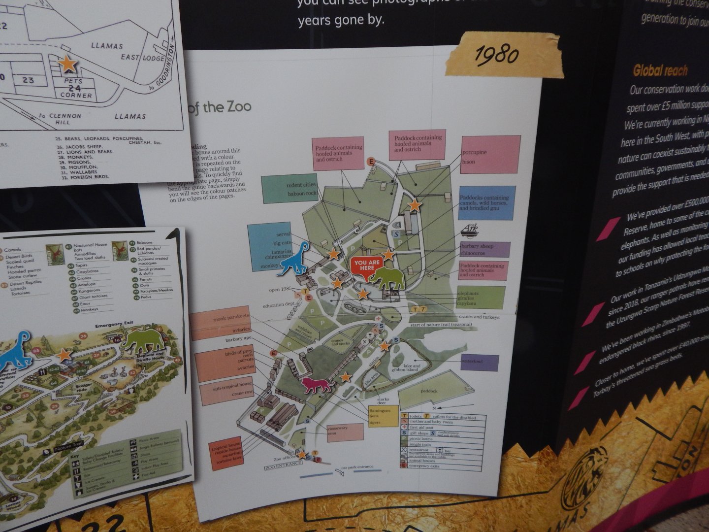 History Display 050224